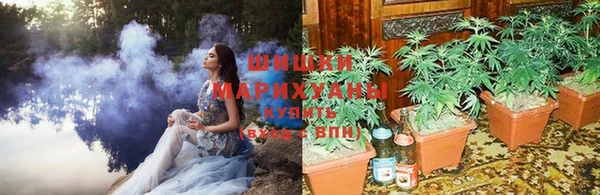 ПСИЛОЦИБИНОВЫЕ ГРИБЫ Абдулино