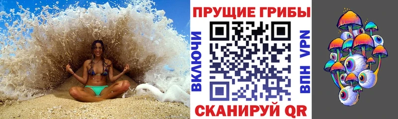 OMG сайт  Сухиничи  Псилоцибиновые грибы ЛСД  наркошоп 